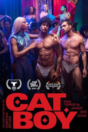 Постер: CatBoy