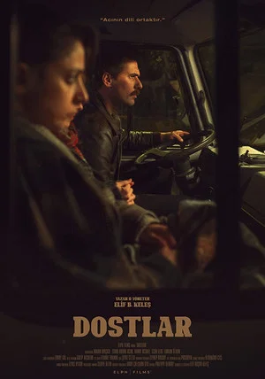 Постер: Dostlar