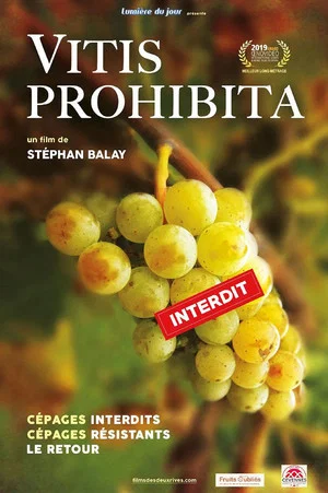 Постер: Vitis Prohibita