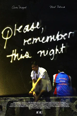 Постер: please, remember this night