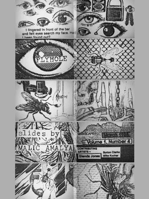 Постер: Flyhole