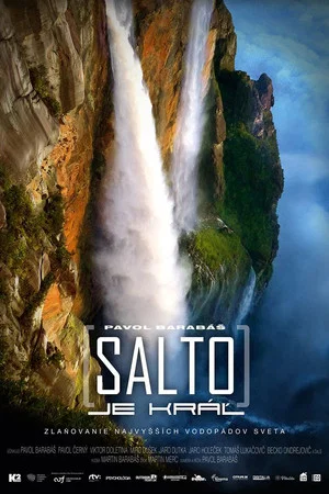 Постер: Salto je kráľ