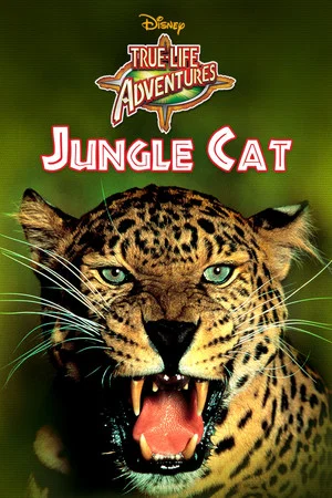 Постер: Jungle Cat