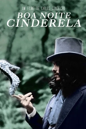 Постер: Goodnight Cinderella