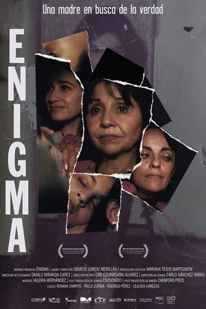 Постер: Enigma