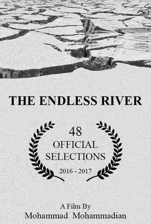 Постер: The Endless River