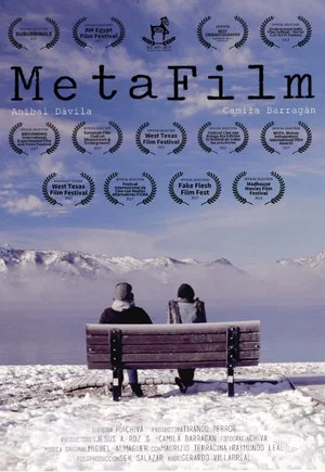 Постер: MetaFilm