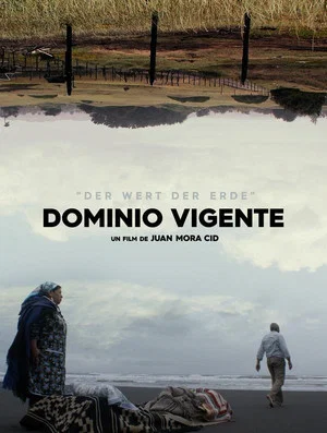 Постер: Dominio Vigente