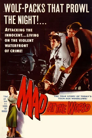 Постер: Mad at the World