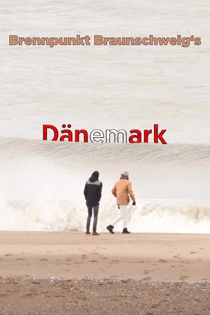 Постер: Brennpunkt Braunschweig's Dänemark