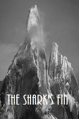 Постер: The Shark's Fin