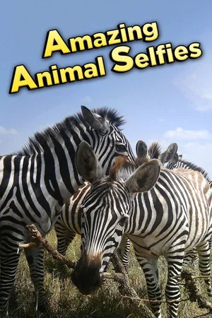 Постер: Amazing Animal Selfies