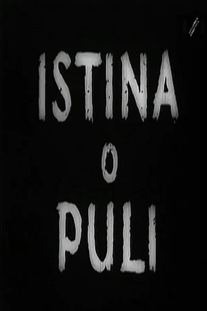 Постер: The Truth About Pula