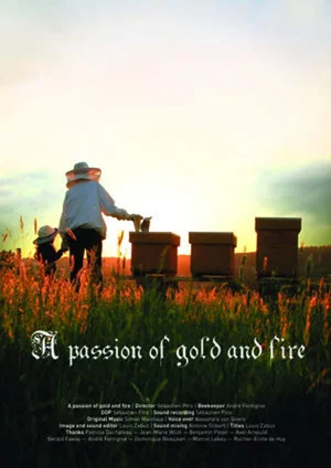 Постер: A Passion of Gold and Fire
