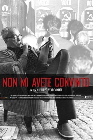 Постер: Non mi avete convinto