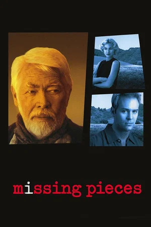 Постер: Missing Pieces