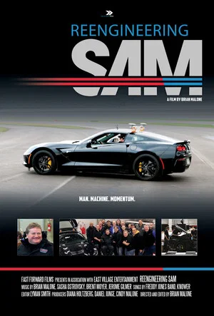 Постер: Reengineering SAM