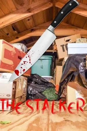 Постер: The Stalker