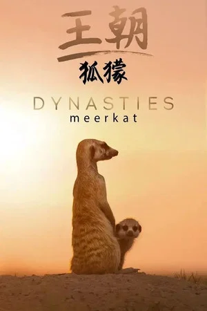 Постер: 王朝：狐獴特辑
