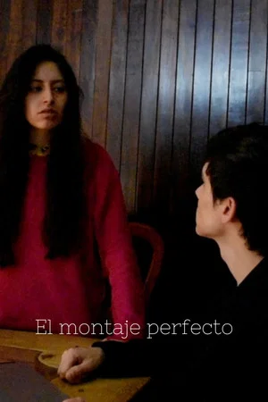 Постер: El montaje perfecto