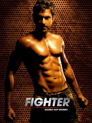 Постер: Fighter