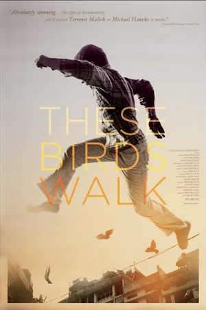 Постер: These Birds Walk