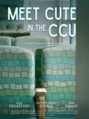 Постер: Meet Cute In the CCU