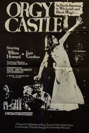 Постер: Terror at Orgy Castle