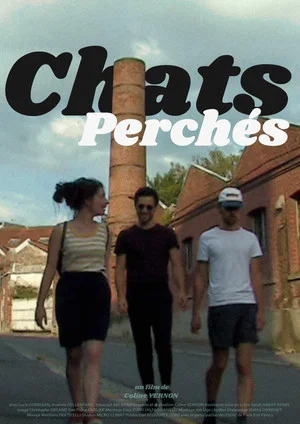 Постер: Chats perchés