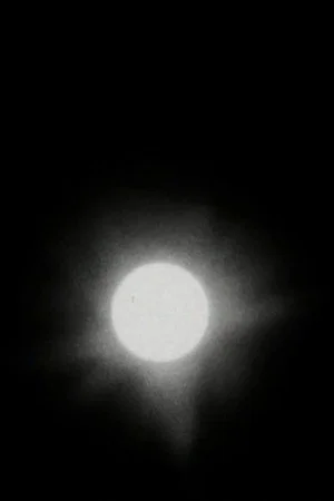 Постер: The Transit of Venus