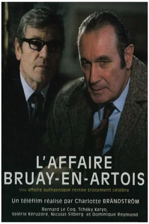 Постер: L'Affaire Bruay-en-Artois