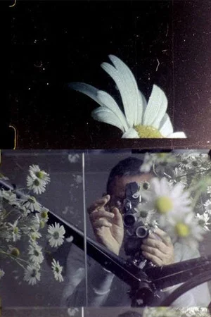 Постер: My Hand Outstretched to the Winged Distance and Sightless Measure
