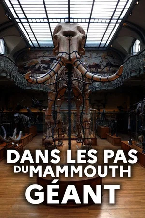Постер: Dans les pas du mammouth géant