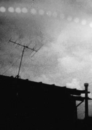 Постер: Observation