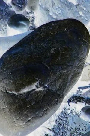 Постер: Ecosystem 20 ~ Stone