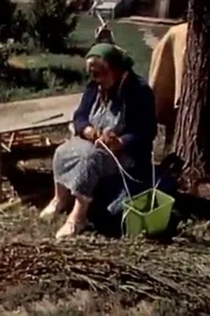 Постер: The Earth is Our Home