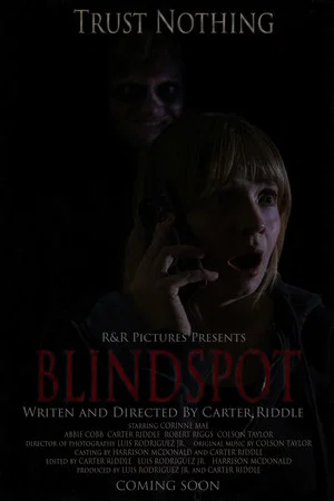 Постер: BLINDSPOT