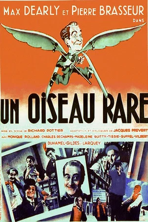 Постер: A Rare Bird
