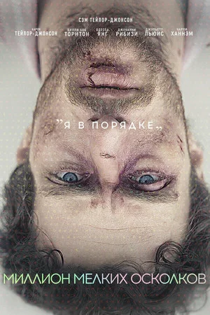 Постер: Миллион мелких осколков