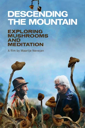 Постер: Descending the Mountain