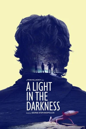 Постер: A Light in the Darkness