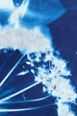 Постер: Into the Blue