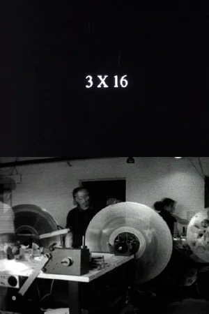 Постер: 3 x 16