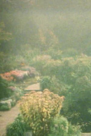 Постер: In the Garden