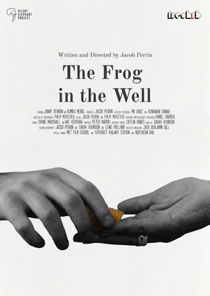 Постер: The Frog in The Well