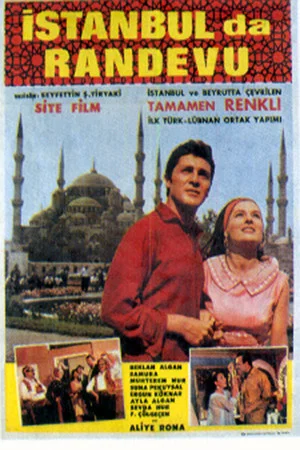 Постер: Love in Istanbul