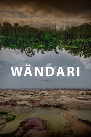Постер: Wändari