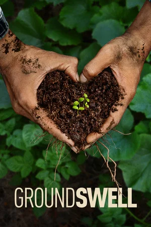 Постер: Groundswell
