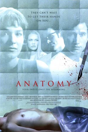 Постер: Anatomy