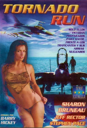 Постер: Tornado Run